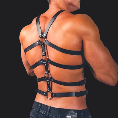 Dominant Matrix Harness