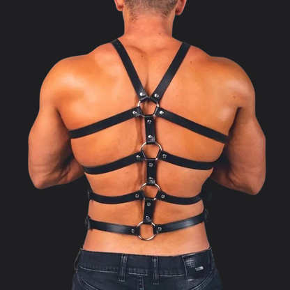 Dominant Matrix Harness